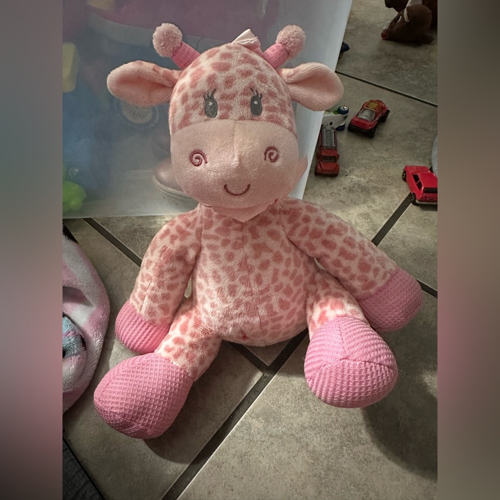 First main jingle pink